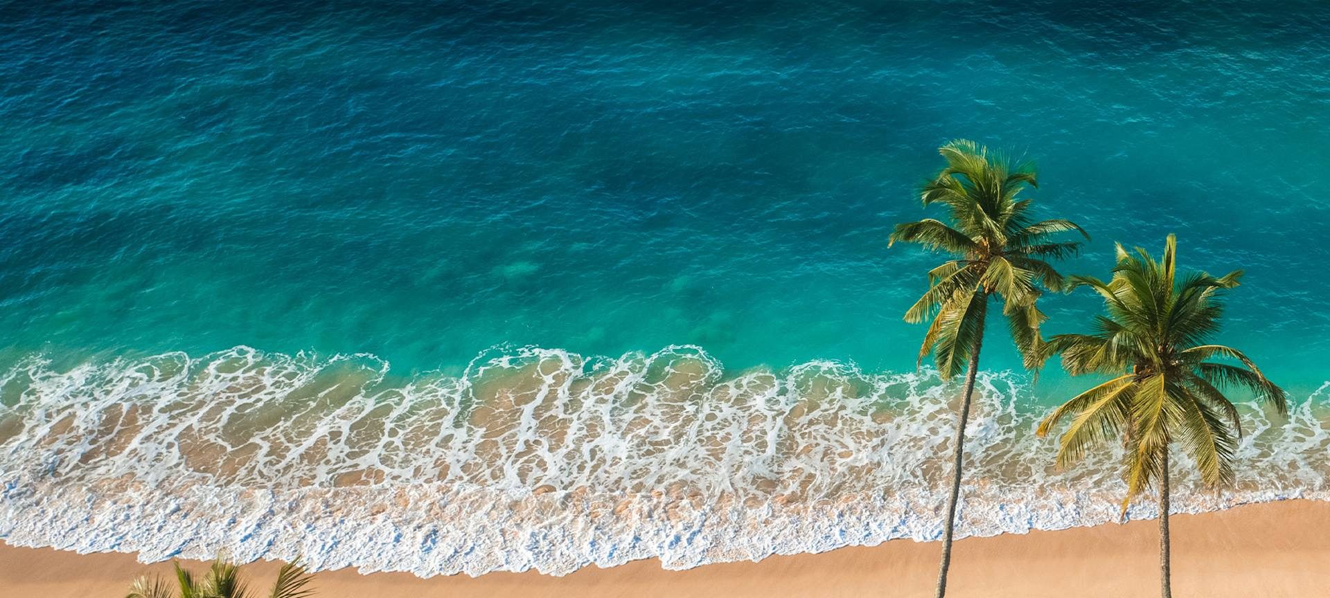 Evolve homepage inviting travelers to find vacation rentals for every occasion